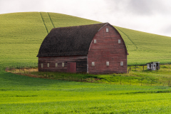 Photo of a Barn in the Palouse early morning