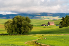 Photo of a Farm in the Palouse