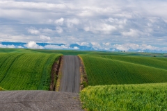 Photo at the Palouse early morning