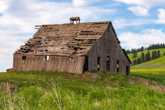 Photo of an Old Abandoned Barn in the Palouse