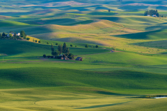 Photo of the Palouse
