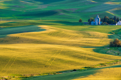 Photo of the Palouse early morning