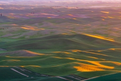 Photo of the Palouse at Sunrise