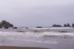Photo of Bandon Beach in the Fog