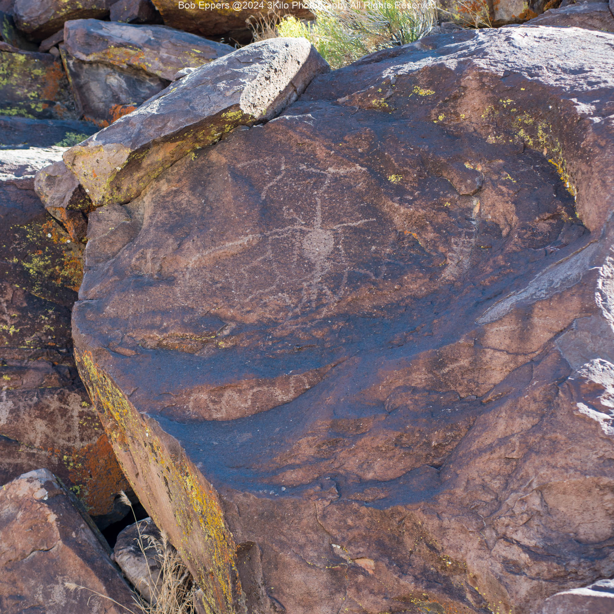 Photo of Petroglyphs in the Coso Mountains.