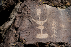 Photo of Petroglyphs in the Coso Mountains, CA