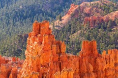 Photo of Bryce Canyon at Sunrise.