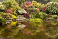 Photo of the Pond at Shore Acres on the Oregon Coast