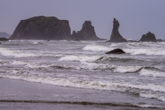 Photo of Bandon Beach in the Fog
