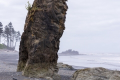 Photo of Ruby Beach early morning