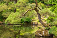Photo of the Pond at Bloedel Reserve on Bainbridge Island