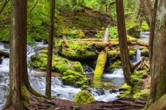 Photo at the Upper Panther Creek Falls