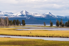 Photo of Pelican Creek entering Yellowstone Lake