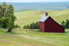 Photo of the Saltbox Barn in the Palouse