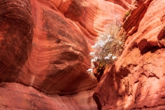 Photo taken at Peekaboo Canyon with winter snow.