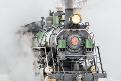 Number 81.  Out of the Mist