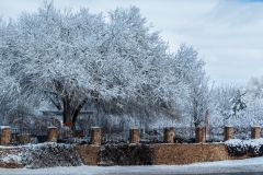Photo of local Prescott Nursery after 14 inches of snow