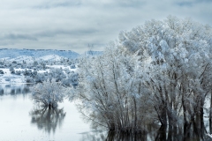 Photo of South Watson Lake after 14 inches of snow