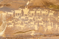 Photo of the Big Hunt Petroglyphs in 9 Mile Canyon