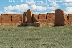 DSCF1873.jpg
