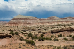 Bentonite Hills