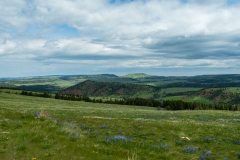 The Pryor Mountains in Montana