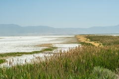 Antelope Island in the Great Salt Lake