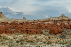 Blue Canyon Late Afternoon
