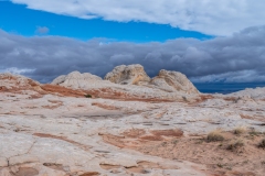 The Brain after the Storm