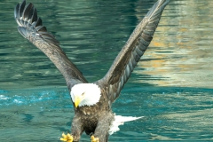 DSC_9456-Enhanced-NR-2.jpg