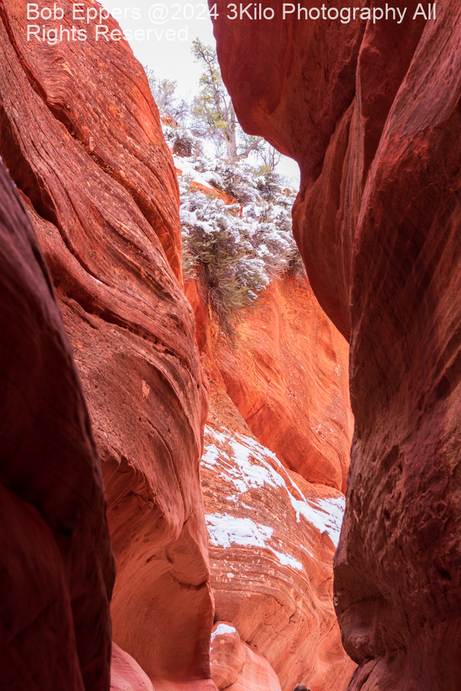Photo of the entrance to Peek A Boo Canyon