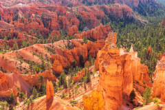Photo of Bryce Canyon NP