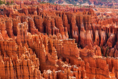 Photo of Bryce Canyon NP