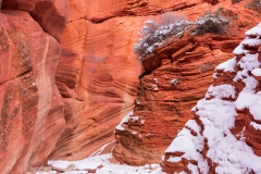 Photo of Peek A Boo Canyon