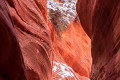 Photo of the entrance to Peek A Boo Canyon