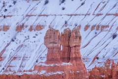 Thor's Hammers in Bryce Canyon