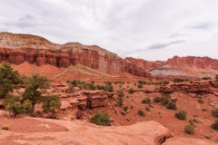 Photo taken at the Fruita Scenic Highway