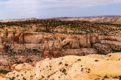 Photo taken along the Travel Through Time Highway number 12