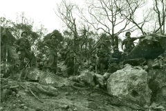 VN 09