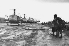 VN 01