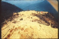VN 31