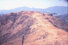 img081