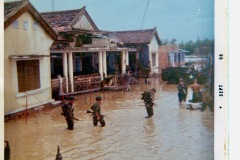 VN 50