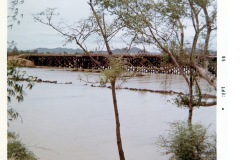 VN 46