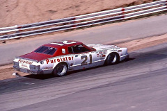 Photo of David Pearson at a NASCAR Race at Riverside